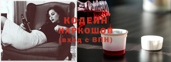 МДПВ Кукмор
